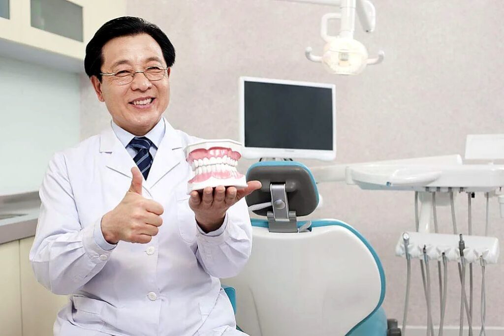 Врач Dental-Top с моделью челюсти